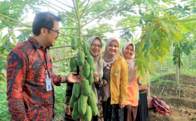 Mahasiswa Pascasarjana UNSOED Praktikum di KWT Aglonema Desa Rabak