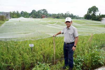 Prof. Dr. Ir. Suwarto, M.S