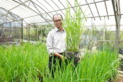 Prof. Yogi Finds Black Rice with High Antioxidants