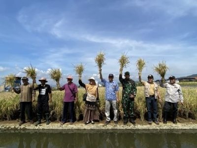 UNSOED BERDAMPAK