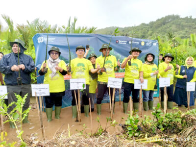 FPIK UNSOED, PT Surveyor Indonesia, dan CDK Kebumen Lakukan Konservasi Mangrove