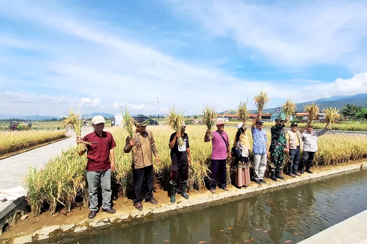 Minapadi Protani Salibu: Inovasi UNSOED yang Tingkatkan Panen dan Ekonomi Desa