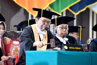 Ketua senat universitas