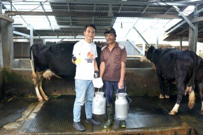 Dosen Unsoed Kembangkan “SoedMastiTest”: Inovasi Lokal Deteksi Dini Mastitis, Bantu Peternak Hemat Biaya dan Tingkatkan Produksi Susu