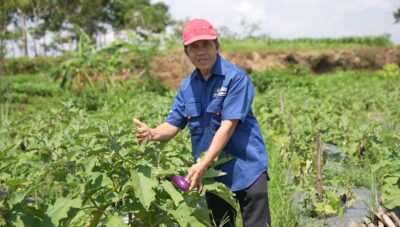 Profesor Unsoed Hasilkan NZEO-SRPlus, Inovasi Pupuk Untuk Minimalkan Polusi dan Perkuat Ketahanan Tanaman